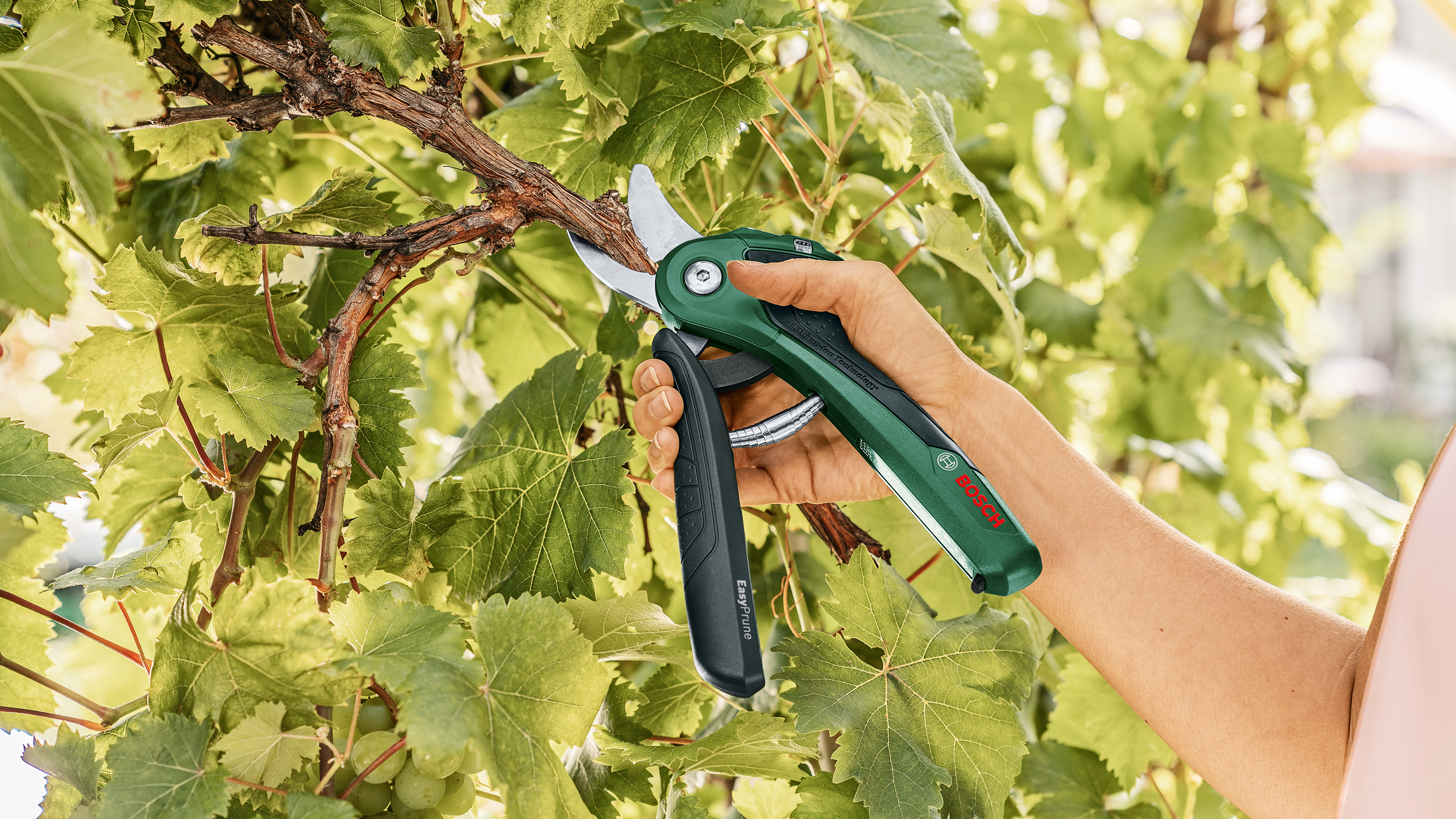 Bosch GartenschereEasyPrune