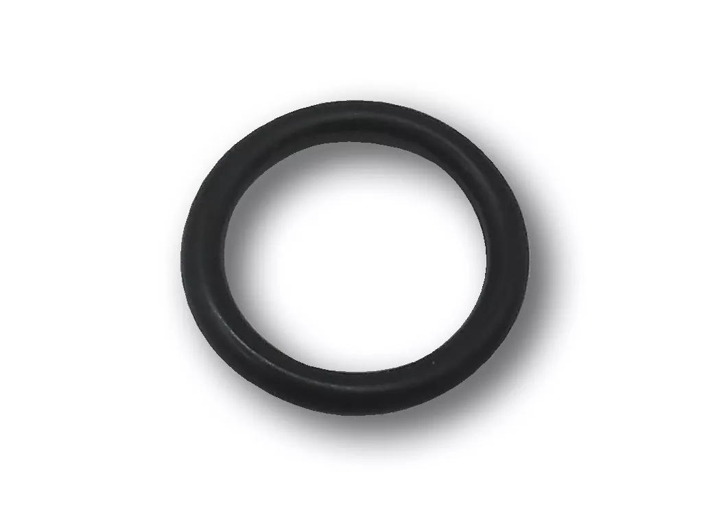 Bosch O-Ring 2600210004